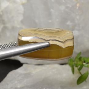 Ágata multicolorido natural 18,27ct, forma extravagante, translúcido