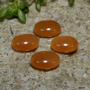 Pedras preciosas de Ágata laranja avermelhado natural de 2.68 ct, Corte Oval, Translúcido