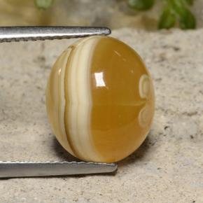 Ágata multicolorido natural 9,16ct, corte oval, translúcido