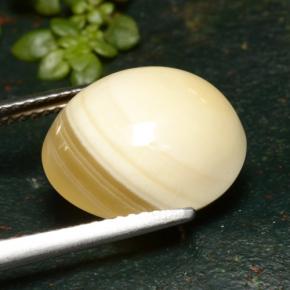 Ágata multicolorido natural 9,46ct, corte oval, translúcido