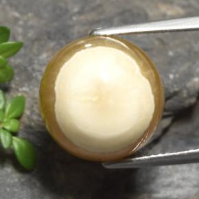 Ágata multicolorido natural 15,16ct, corte oval, translúcido