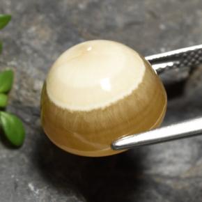 Ágata multicolorido natural 15,16ct, corte oval, translúcido