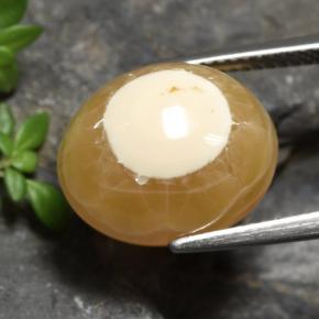 Ágata multicolorido natural 13,60ct, corte oval, translúcido