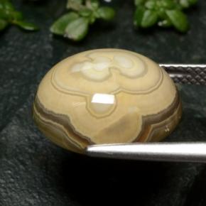 Ágata multicolorido natural 12,04ct, corte oval, opaco