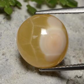 Ágata multicolorido natural 7,59ct, corte oval, translúcido