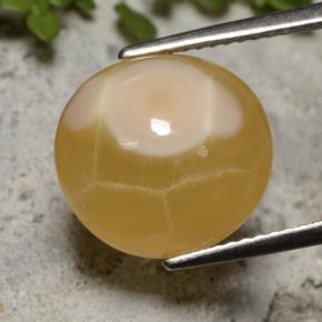 Ágata multicolorido natural 7,59ct, corte oval, translúcido