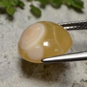 Ágata multicolorido natural 7,59ct, corte oval, translúcido