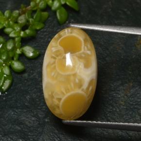 Ágata multicolorido natural 6,57ct, corte oval, translúcido