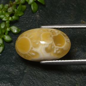 Ágata multicolorido natural 6,57ct, corte oval, translúcido