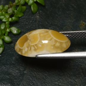 Ágata multicolorido natural 6,57ct, corte oval, translúcido