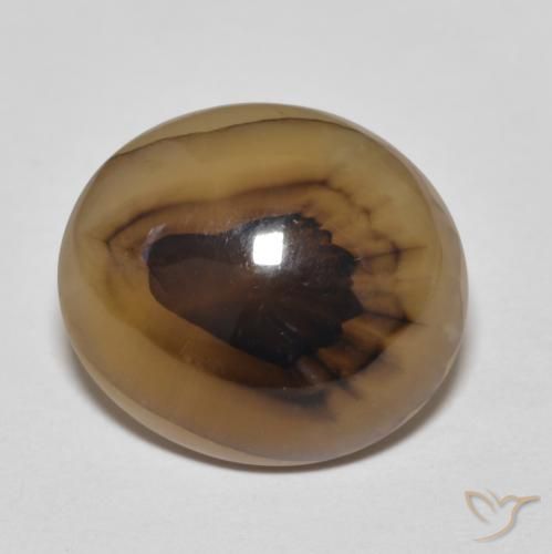 9.50ct Natural Multicolorido Ágata, oval, Translúcido