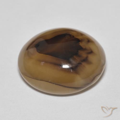 Ágata Multicolorido Natural 9.50ct, oval, Translúcido