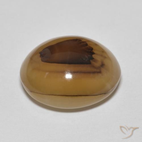 Ágata Multicolorido Natural 9.19ct, oval, Translúcido