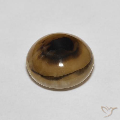 Ágata Multicolorido Natural 7.46ct, Redondo, Translúcido