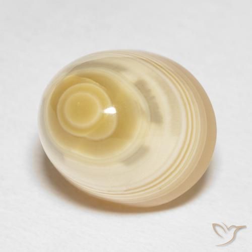 Ágata Multicolorido Natural 16.65ct, Redondo, Opaco
