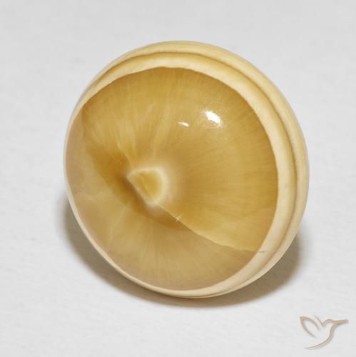Ágata Multicolorido Natural 19.82ct, Redondo, Opaco