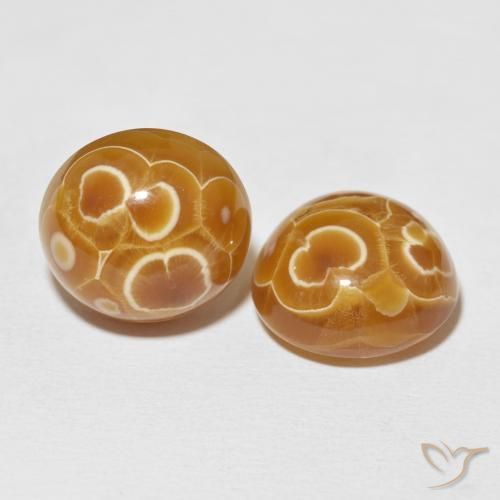 Pedras preciosas de Ágata Multicolorido natural de 33.49 ct, oval, Opaco