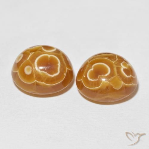 Pedras preciosas de Ágata Multicolorido natural de 33.49 ct, oval, Opaco