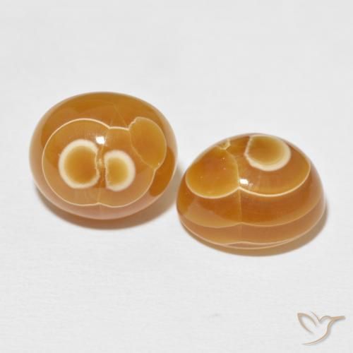 Pedras preciosas de Ágata Multicolorido natural de 21.51 ct, oval, Opaco
