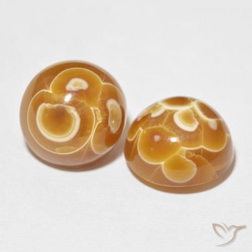 Pedras preciosas de Ágata Multicolorido natural de 38.31 ct, Redondo, Opaco