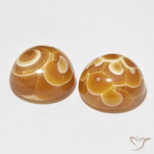 Pedras preciosas de Ágata Multicolorido natural de 38.31 ct, Redondo, Opaco