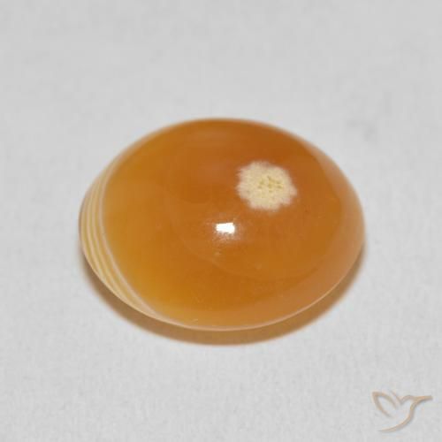 Ágata Multicolorido Natural 15.33ct, oval, Opaco