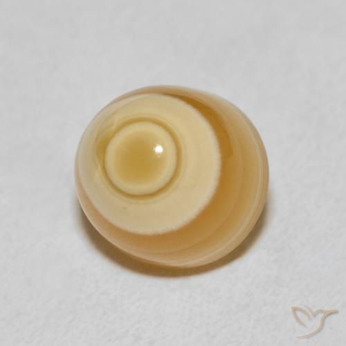 Ágata Multicolorido Natural 8.00ct, Chique, Opaco