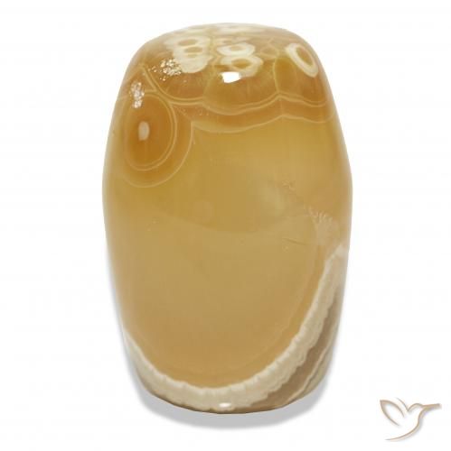 Ágata Multicolorido Natural 55.45ct, Chique, Translúcido