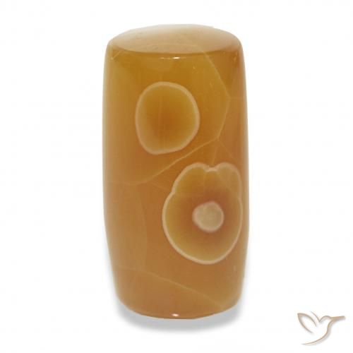 13.53ct Multicolorido Ágata, Chique, Translúcido