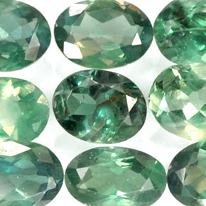 Pedras preciosas de alexandrita multicolorido natural de  ct, corte oval, VS