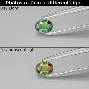 Alexandrita multicolorido natural 0,26ct, corte oval, VVS-VS