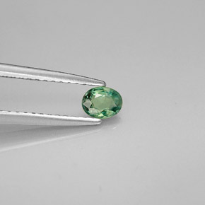 Alexandrita multicolorido natural 0,26ct, corte oval, VVS-VS