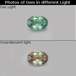 Alexandrita multicolorido natural 0,41ct, corte oval, VVS-VS