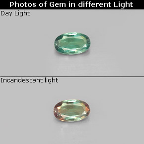Alexandrite Verde/Vermelho Natural 0.30ct, Corte Oval, VVS-VS