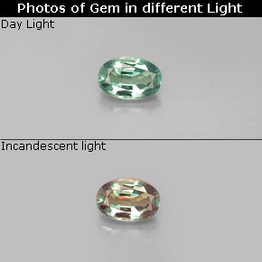Alexandrita multicolorido natural 0,36ct, corte oval, VVS-VS
