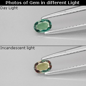 Alexandrita multicolorido natural 0,25ct, corte oval, VVS-VS