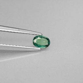 Alexandrita multicolorido natural 0,25ct, corte oval, VVS-VS
