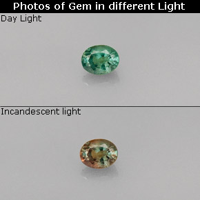 Alexandrite Verde/Vermelho Natural 0.26ct, Corte Oval, VVS-VS