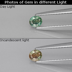 Alexandrite Verde/Vermelho Natural 0.25ct, Corte Oval, VVS-VS