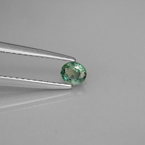 Alexandrite Verde/Vermelho Natural 0.25ct, Corte Oval, VVS-VS
