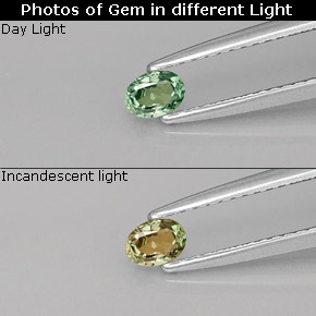 Alexandrite Verde/Vermelho Natural 0.20ct, Corte Oval, VS