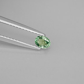 Alexandrite Verde/Vermelho Natural 0.20ct, Corte Oval, VS