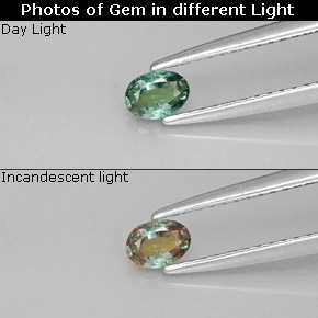 Alexandrita multicolorido natural 0,23ct, corte oval, VS