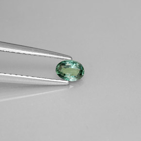 Alexandrita multicolorido natural 0,23ct, corte oval, VS