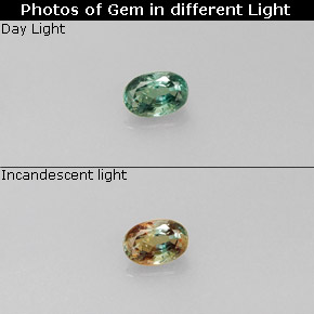 Alexandrite Verde/Vermelho Natural 0.20ct, Corte Oval, VS