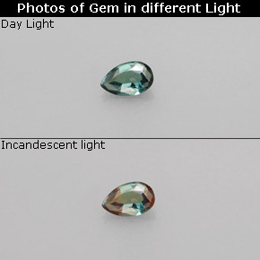 Alexandrita multicolorido natural 0,13ct, formato de pêra, VS