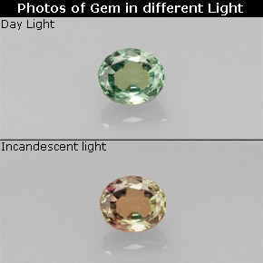 Alexandrita multicolorido natural 0,19ct, corte oval, VS