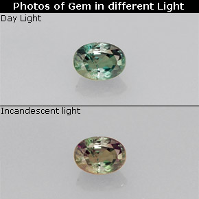 Alexandrita multicolorido natural 0,18ct, corte oval, VS