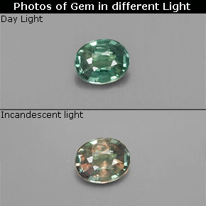 Alexandrita multicolorido natural 0,12ct, corte oval, VS