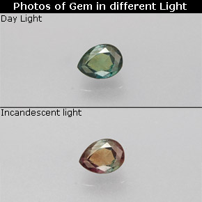 Alexandrita multicolorido natural 0,12ct, formato de pêra, VS
